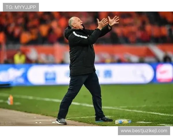 巴尔迪尼：帕拉蒂奇掌控决策权非球迷